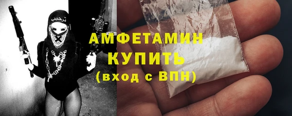 гашик Тихвин