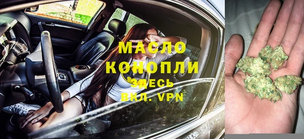 молекула духа Костерёво