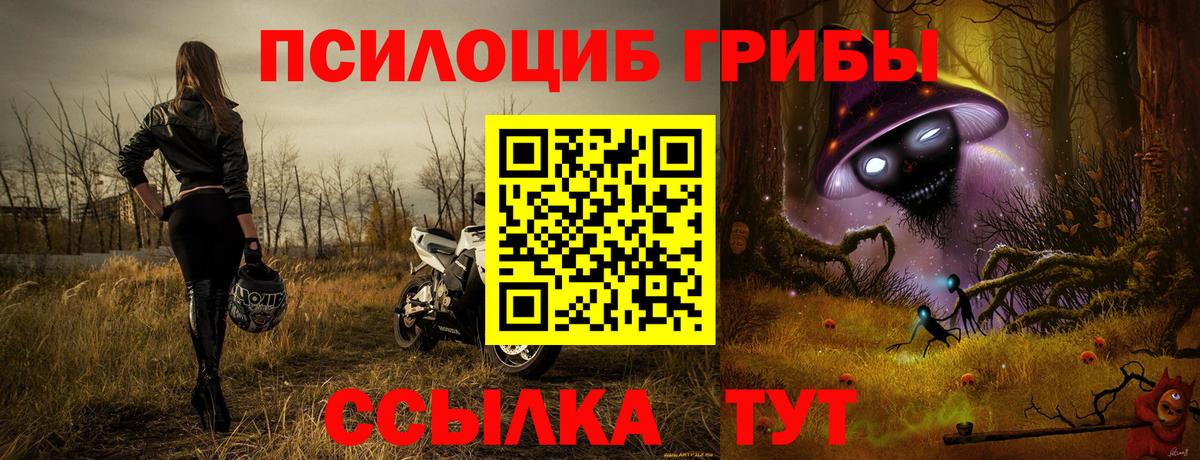 Галлюциногенные грибы Psilocybine cubensis Омск
