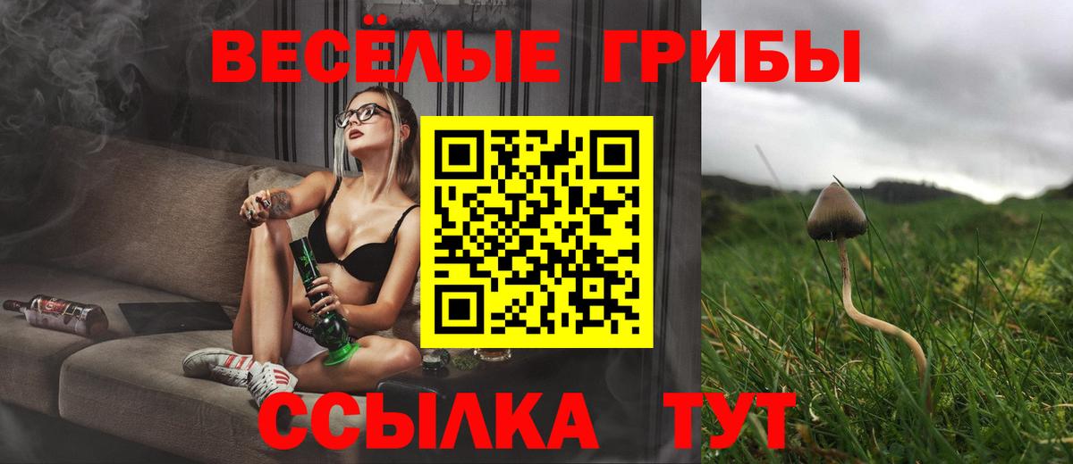 магазин    Псилоцибиновые грибы мицелий  Вход с VPN  Омск 